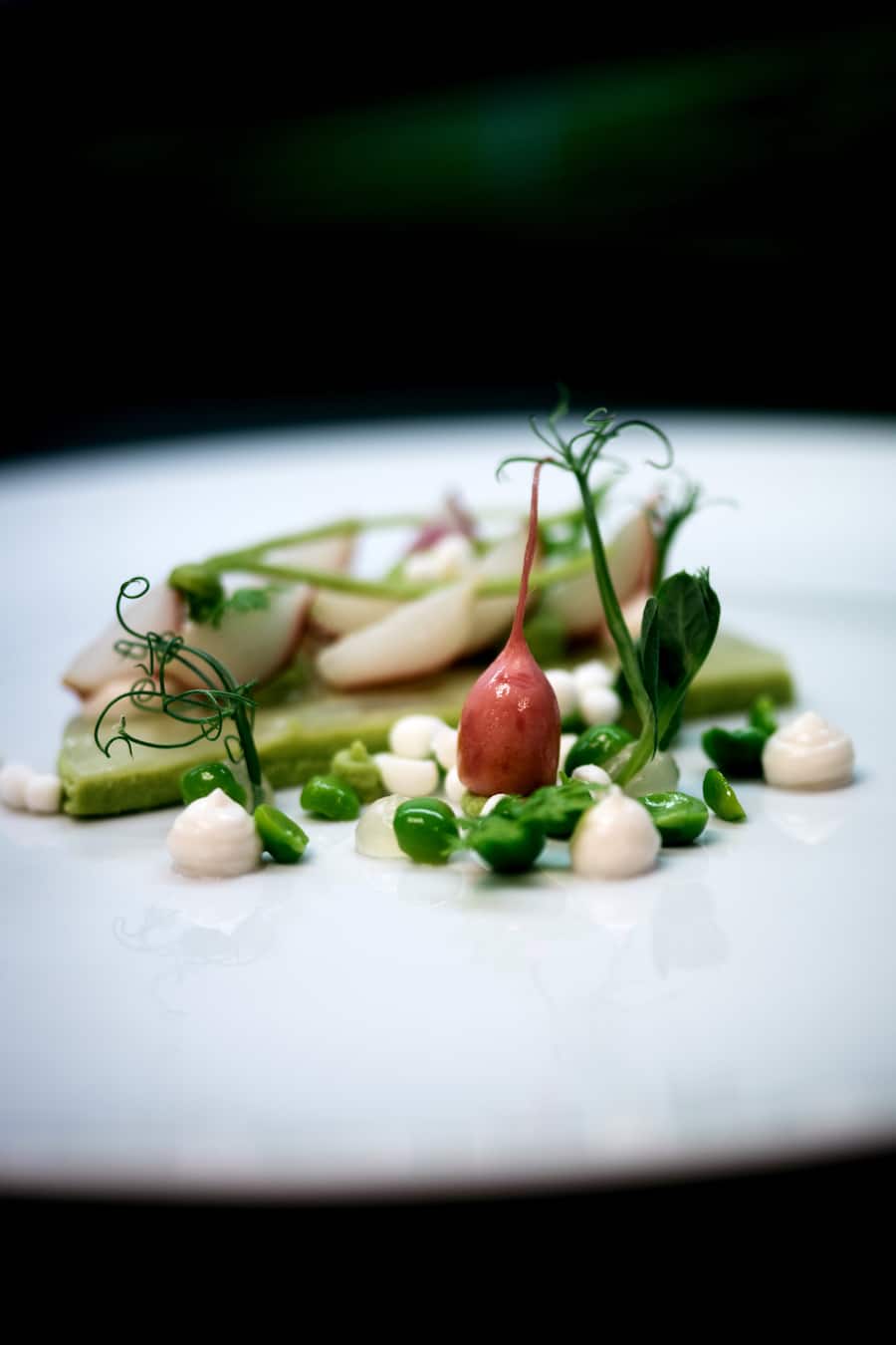 Paul Ivic Tian Wien vegetarisches Restaurant