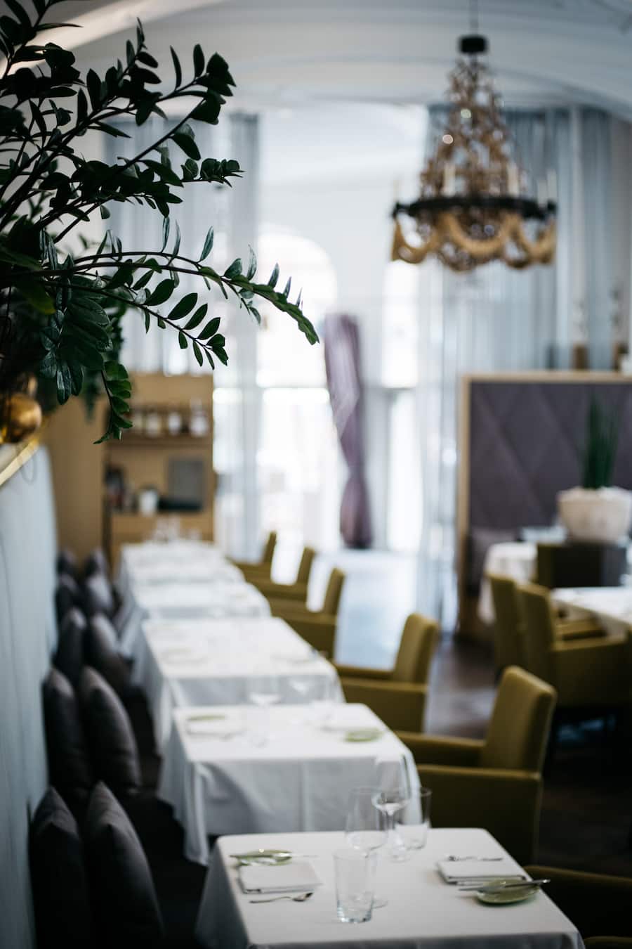 Paul Ivic Tian Wien vegetarisches Restaurant