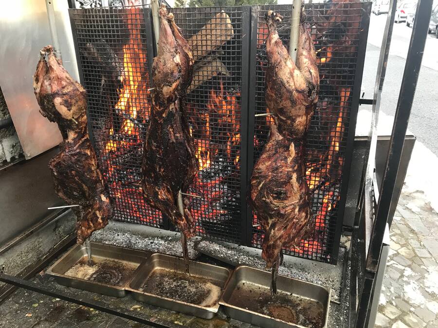 Sanglier à l'auberge de Mollens