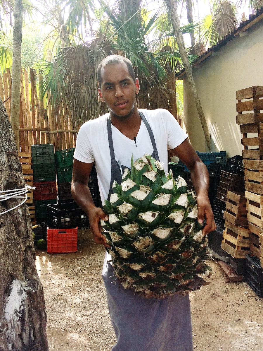 Olivier Bur im Pop-Up Noma Mexico in Tulum