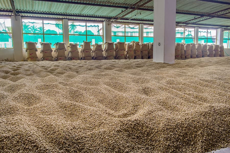 Nespresso Master Origin