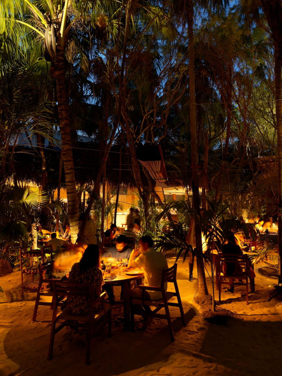 Pop-Up Noma Mexico in Tulum