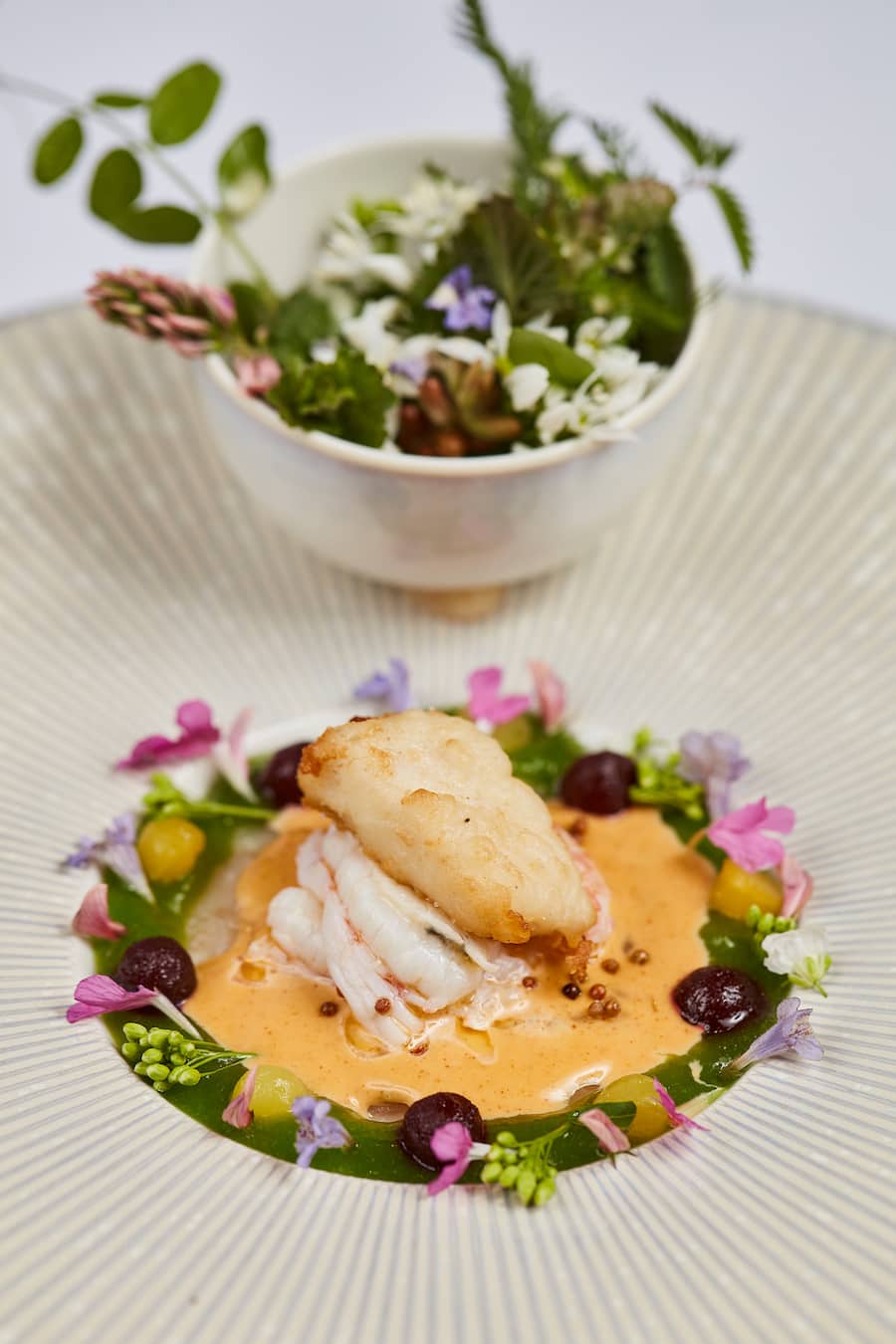 David Krüger Opera Ambassador Kräuterwanderung