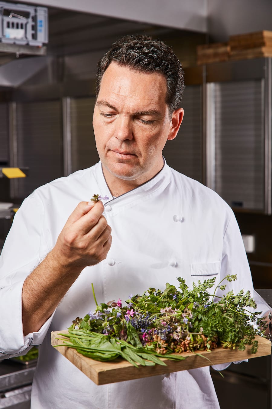 David Krüger Opera Ambassador Kräuterwanderung