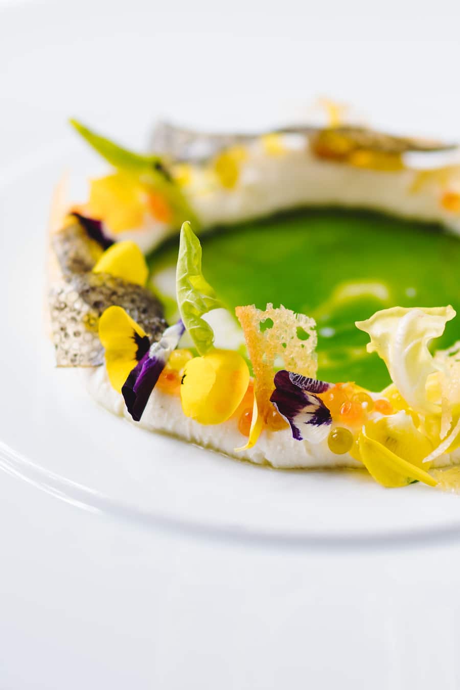 Giardino Lago Minusio