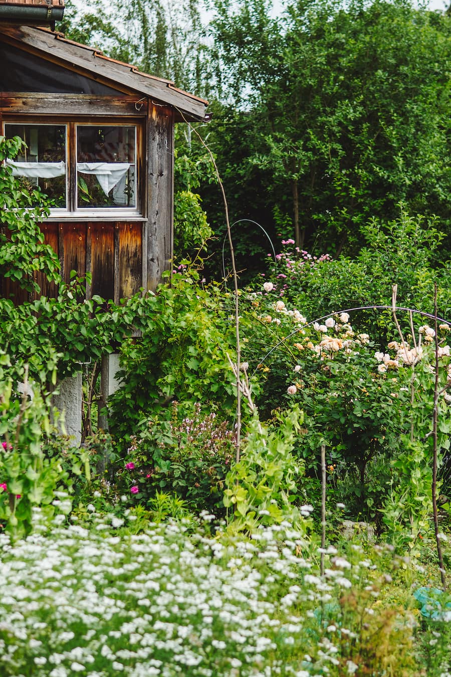 Lilo Meier Rosen Zürich