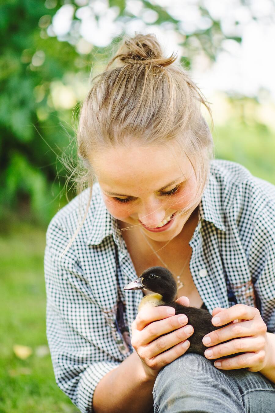 Anja Tschannen Pommernenten
