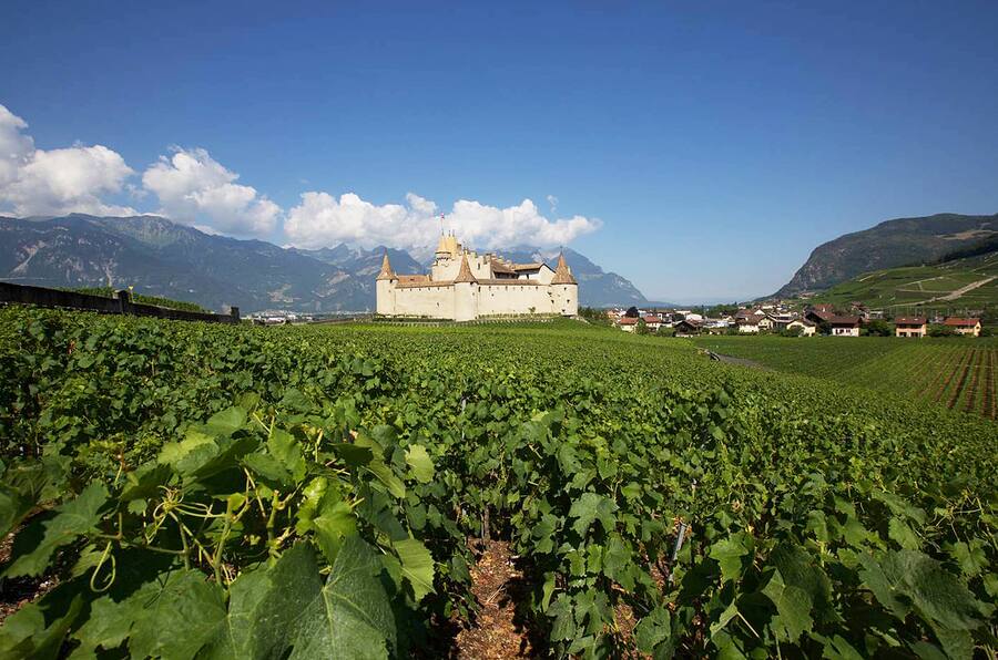 Château Les Celliers du Chablais