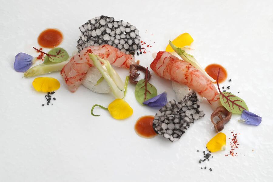 Gamberi rossi mit Puntarelle und Sardellen