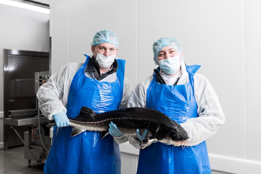 Mike Wehrle Bertrand Charles