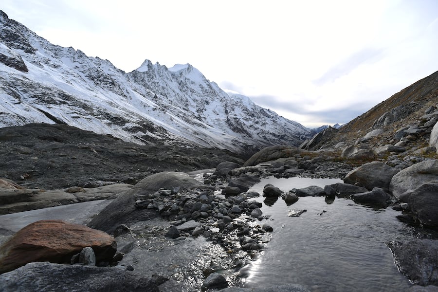 Eglifilet La perche Loë aus Raron