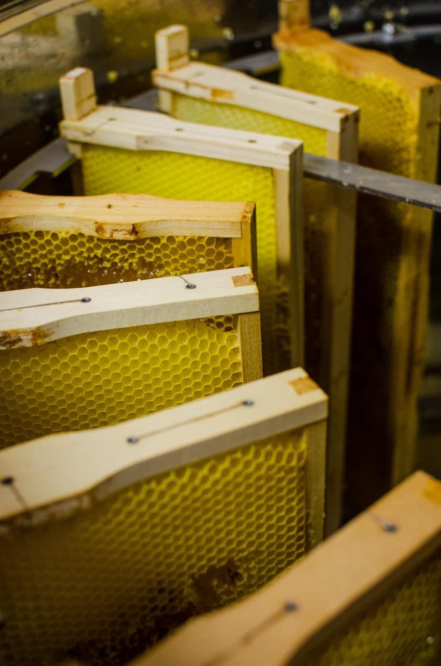 Gion Grischott Alpenhonig