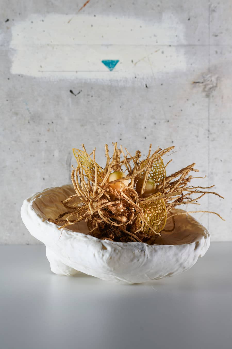 Steinbeisser in Bern mit Simon Apothéloz und Fabian Raffeiner