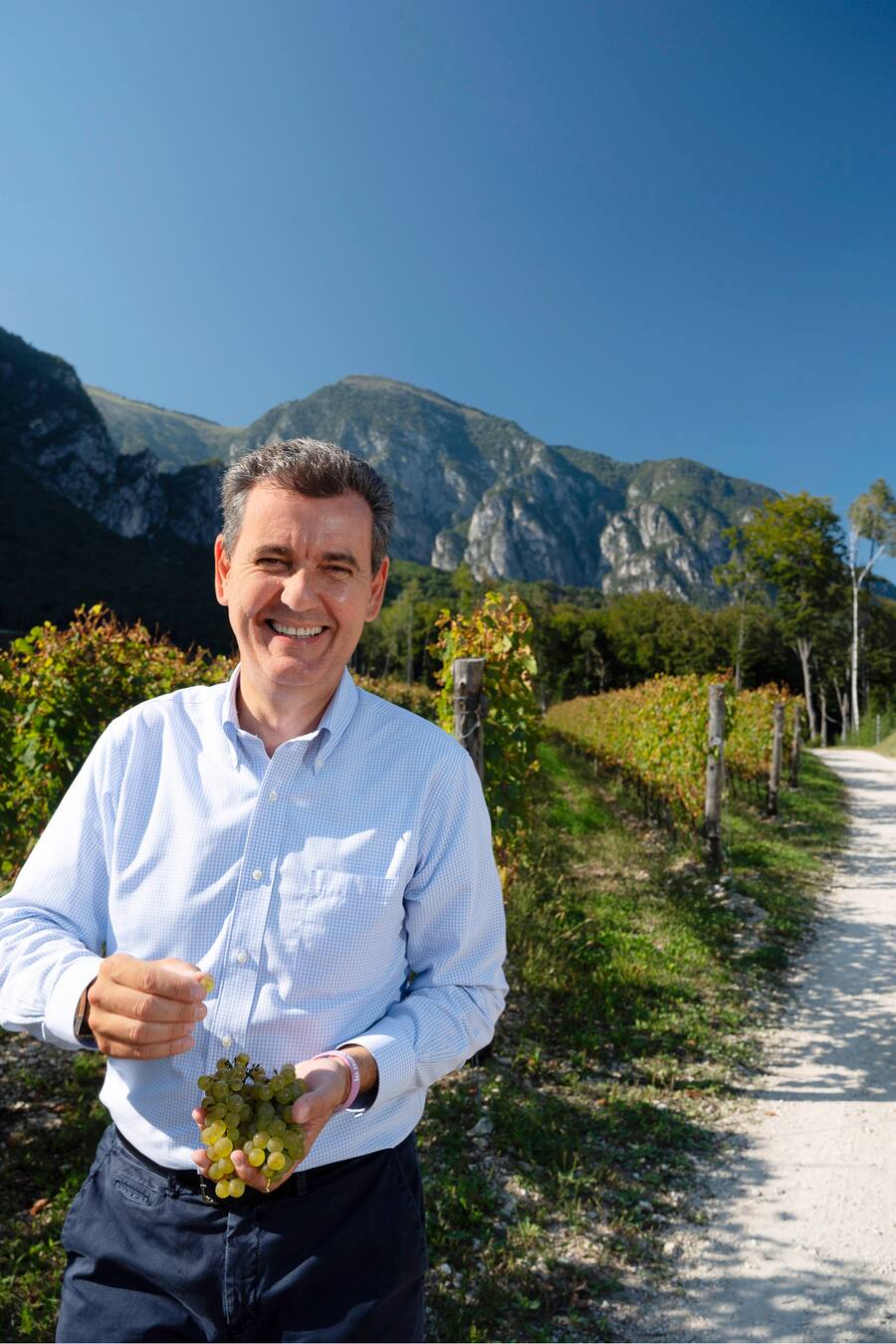 Marcello Lunelli , Produktion und Ãnologe, Weinberg Villa Margon alta,