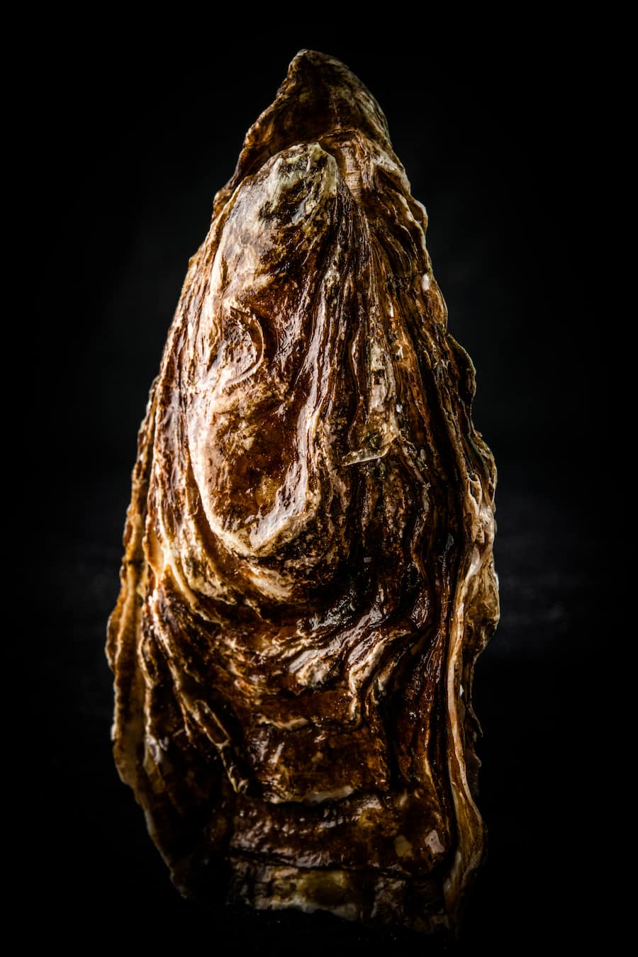 Aphrodisierende Lebensmittel by Jelmoli 2021