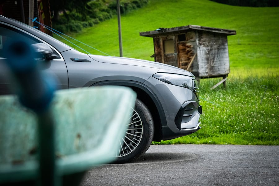 Appenzell-Roadtrip 2021: Kabier-Rinder, Sepp Dähler, Stein AR