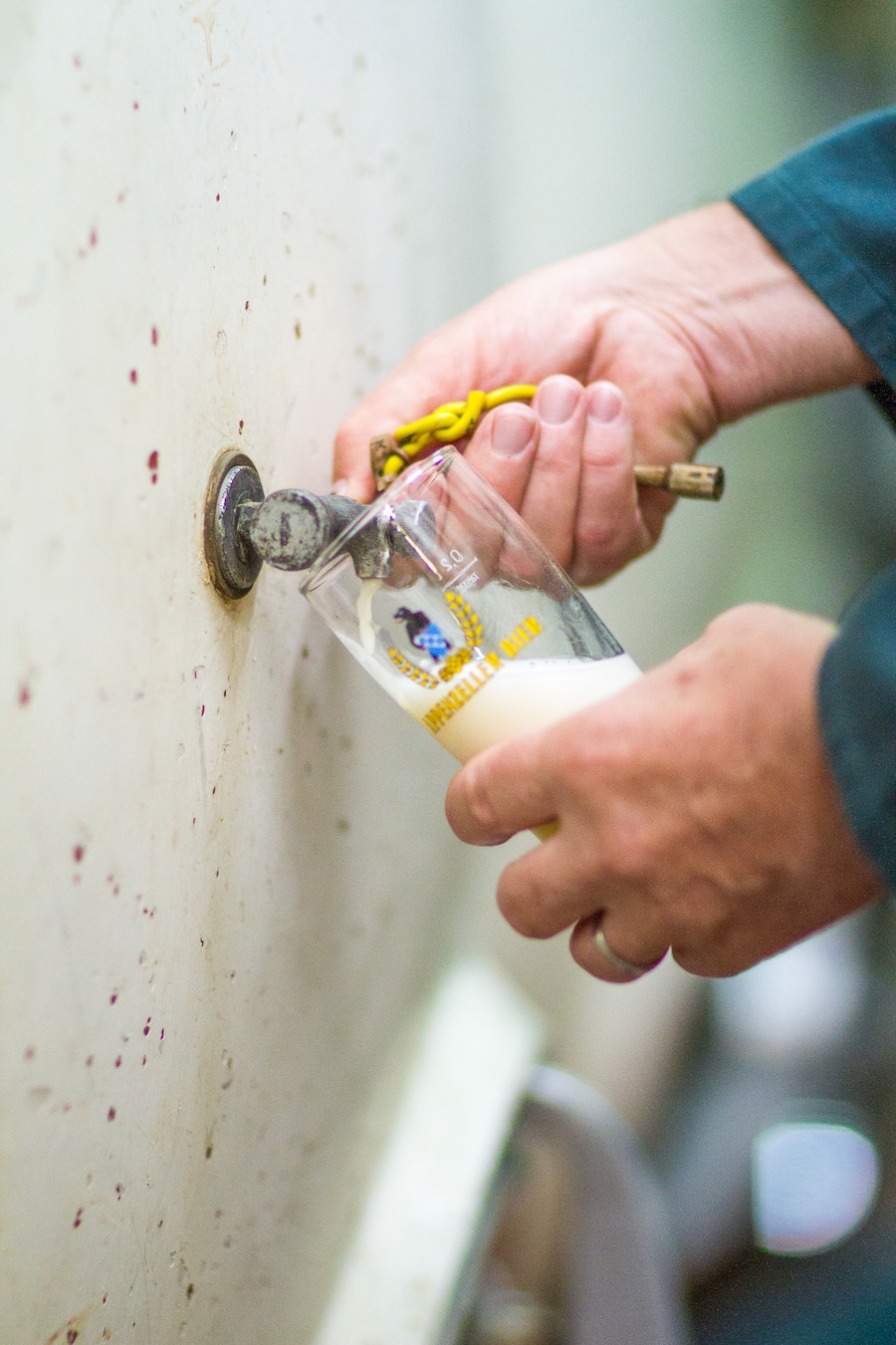 Appenzeller Bier Quöllfrisch