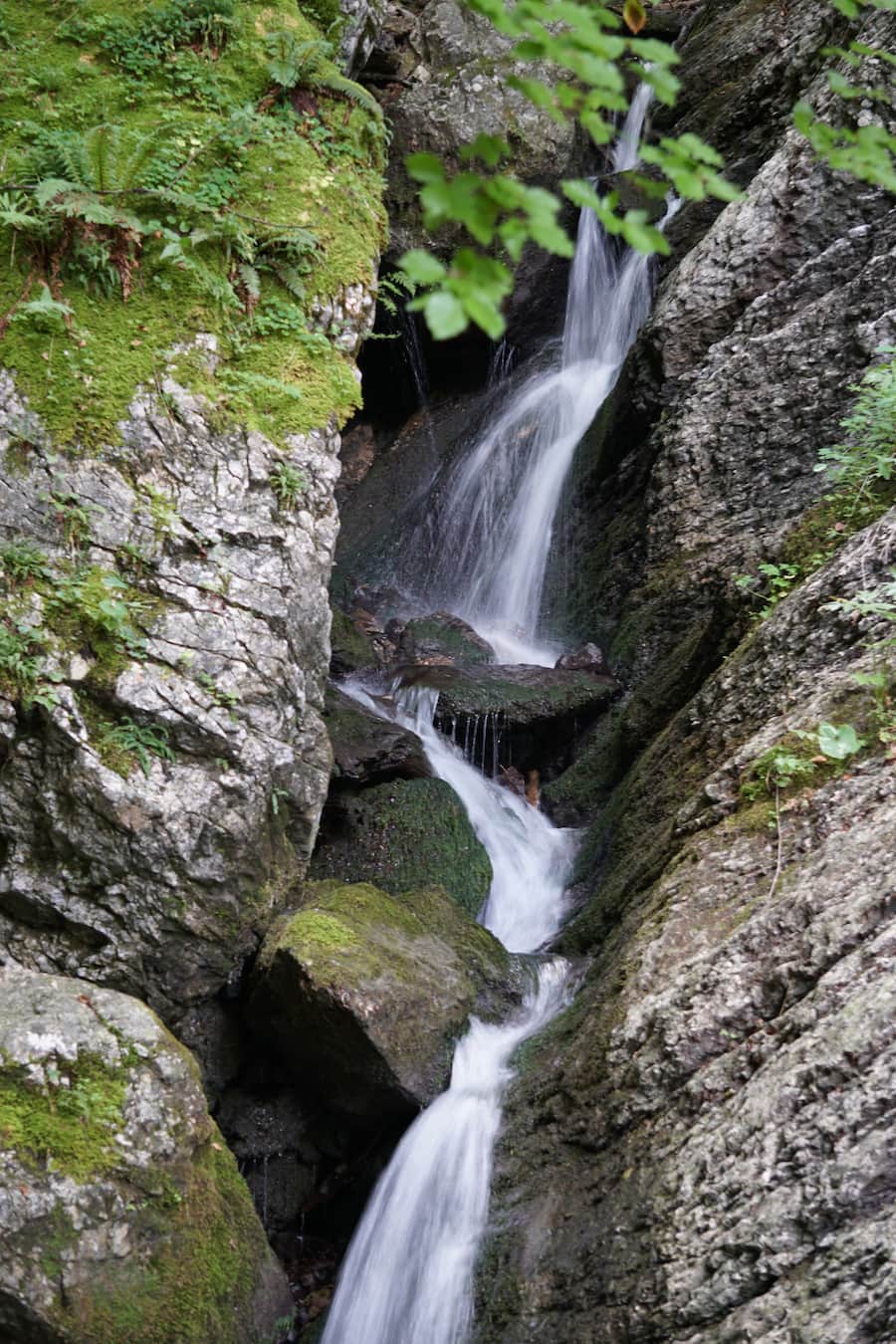 Appenzeller Bier Quöllfrisch