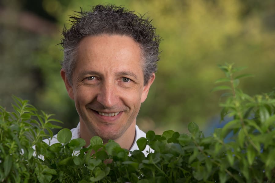 Arno Sgier, Traube Trimbach SO