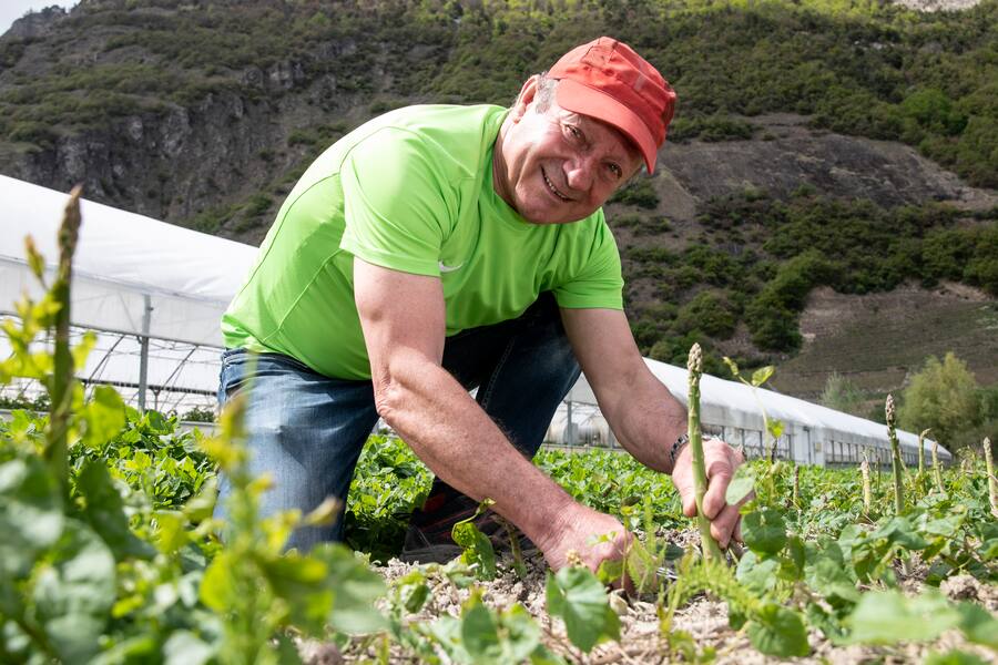 25.04.2019 - Saillon - Le Gault Milau producteur d'asperages.