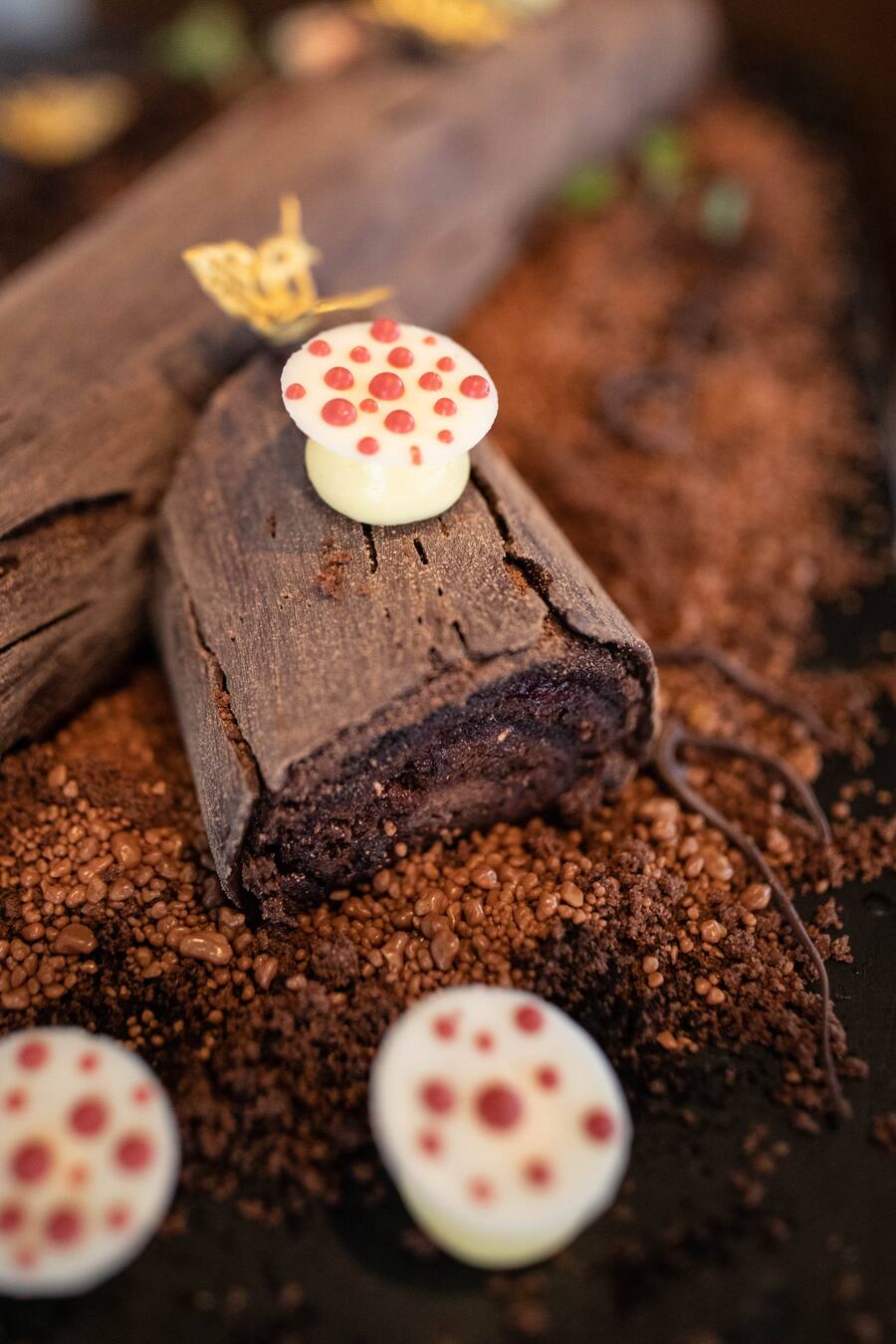 Baumstämme Bürgenstock Brunch