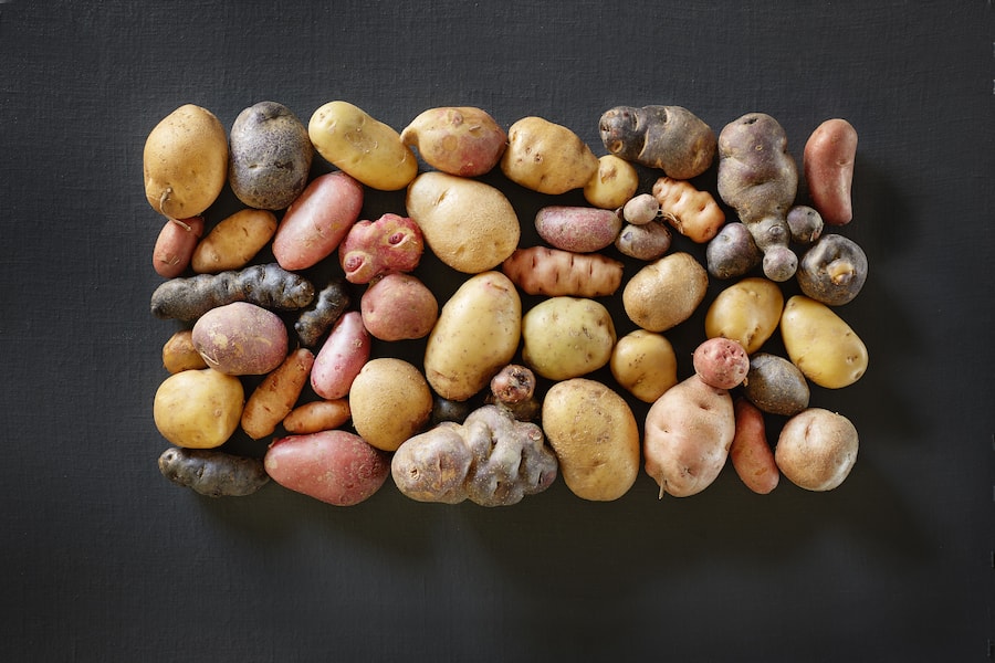 Bergkartoffeln Jelmoli