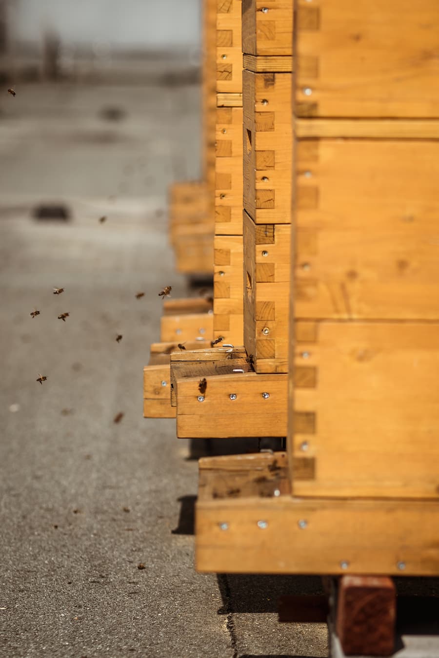 Honig vom Globus-Dach - Globus-Geschäftsführer Daniel Kunz zeigt seine fünf Lieblingsprodukte aus der âDelicatessaâ - Dienstag, 26. Mai 2020 - Copyright Olivia Pulver