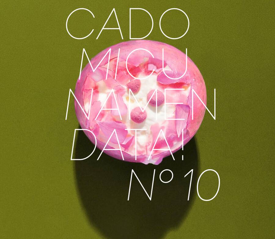 Bookazine Andreas Caminada