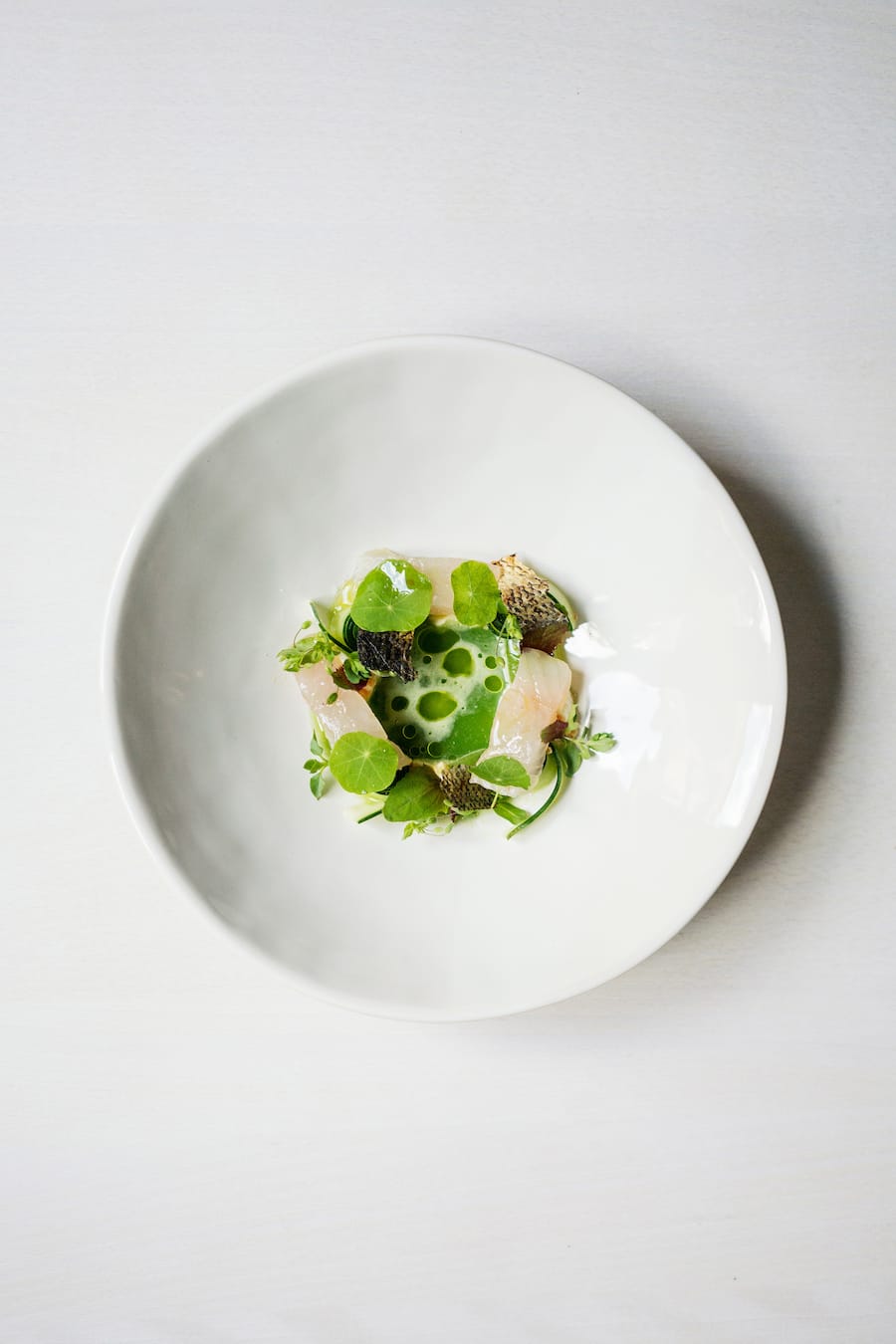 Gebeizte Felche ihrer knusprig abgeflämmten Haut, Crème Fraiche, Kapuzinerkresse, sowie Gin-Wacholder-Gurken und Gurkensaft im Restaurant Jakob in Rapperswil-Jona von Markus Burkhard