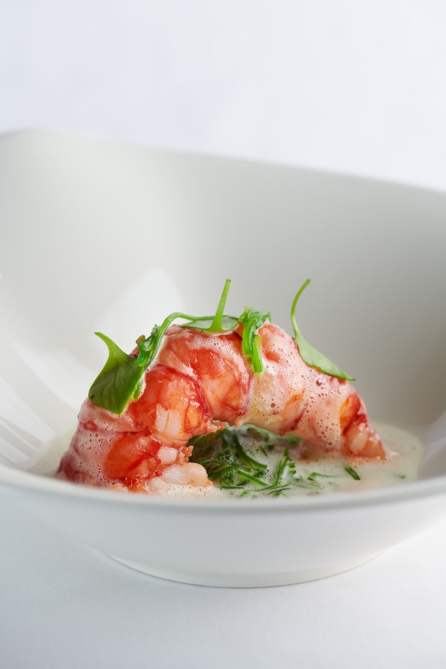 Carabinero Zitrus Peter Knogl