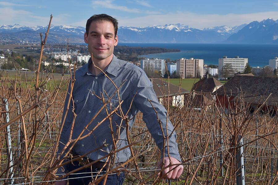 Cave du Signal - Aude et Lionel Widmer