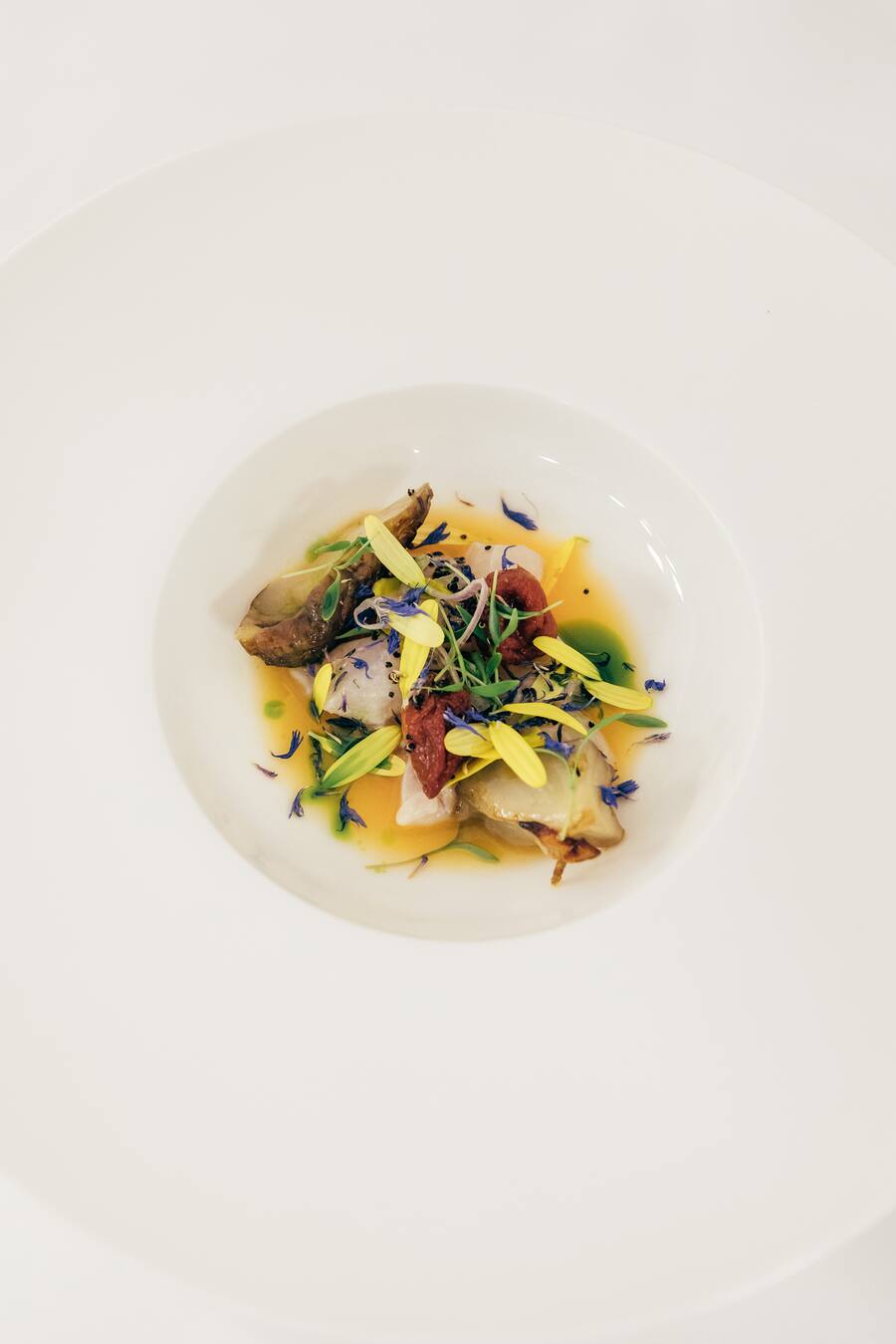 Cdviche Kamilla Seidler