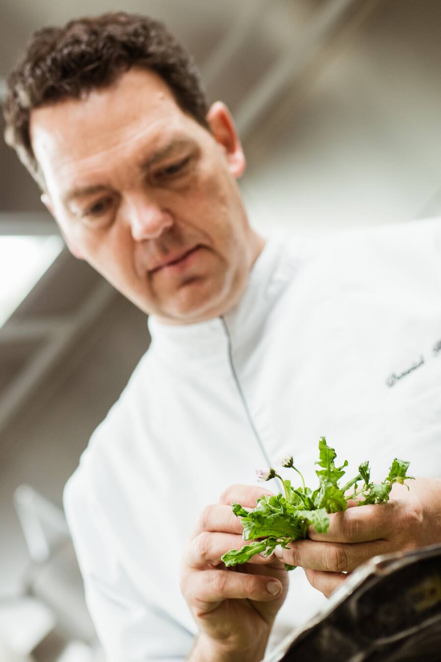 David Krueger Opera Zuerich