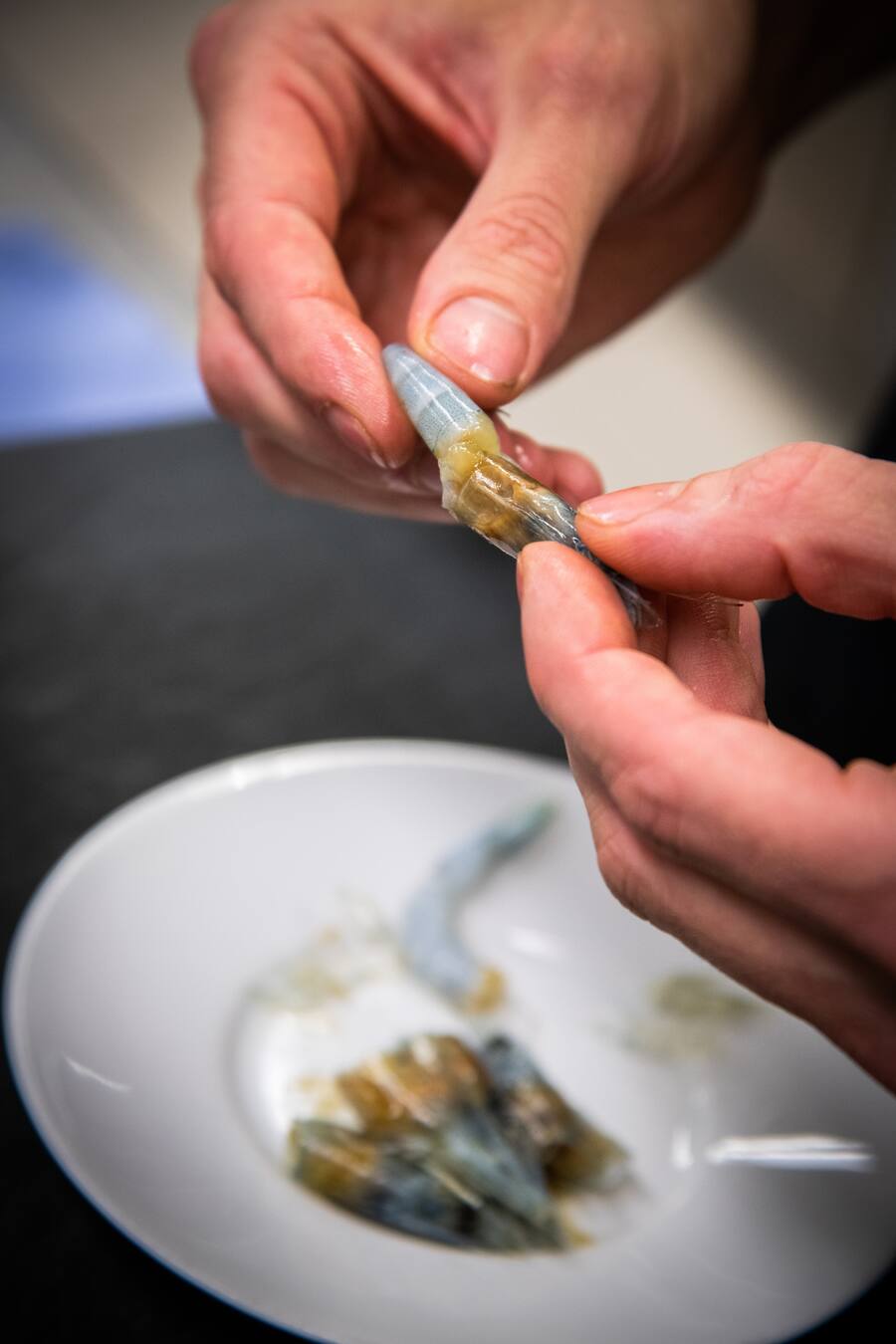 Dominik Sato kocht ein Swiss-Shrimp-Ceviche 2020