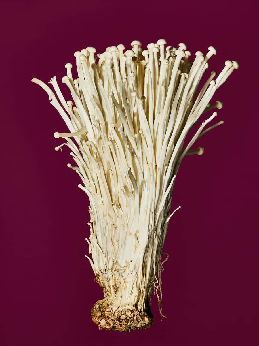 Enoki Pilze Jelmoli Zürich