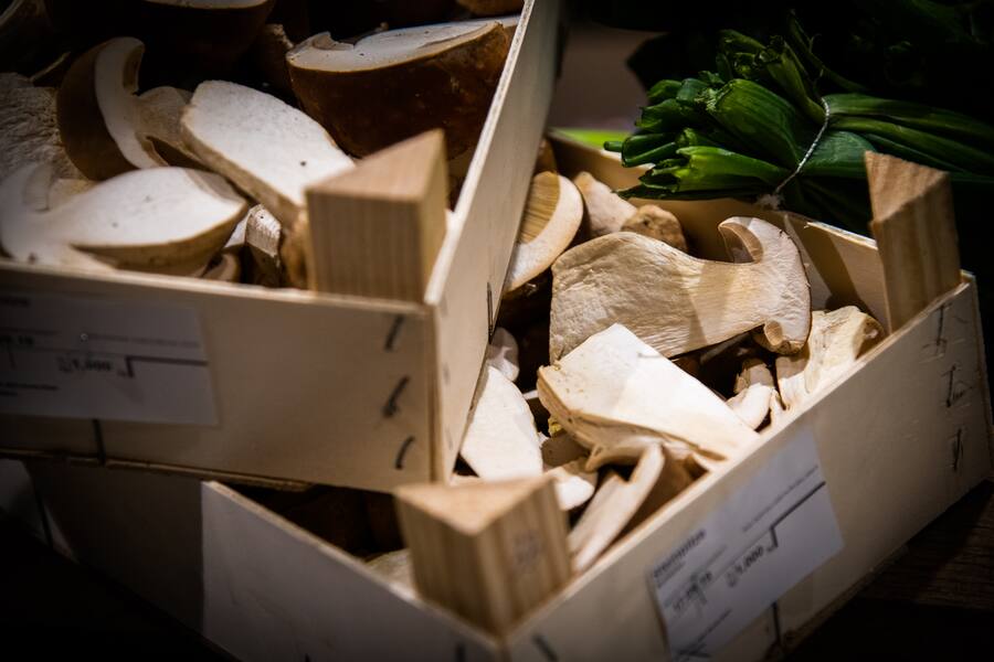 Experten-Interviews im Globus 2019