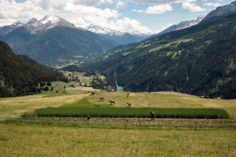 Feld Muldain Hansjörg Ladurner