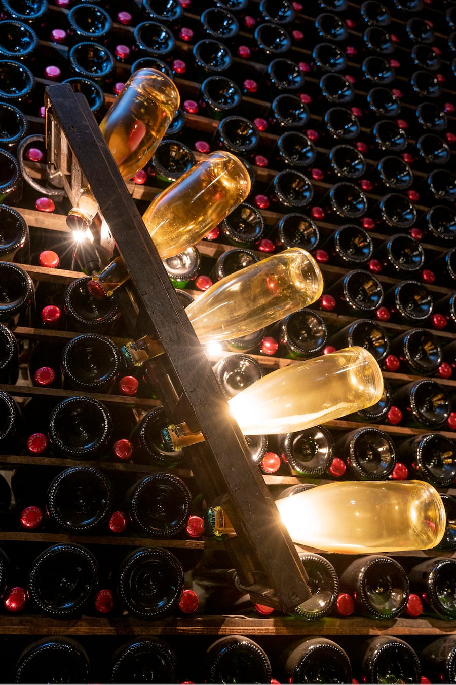 Remuage einfach erklärt,Instalation für Besucher