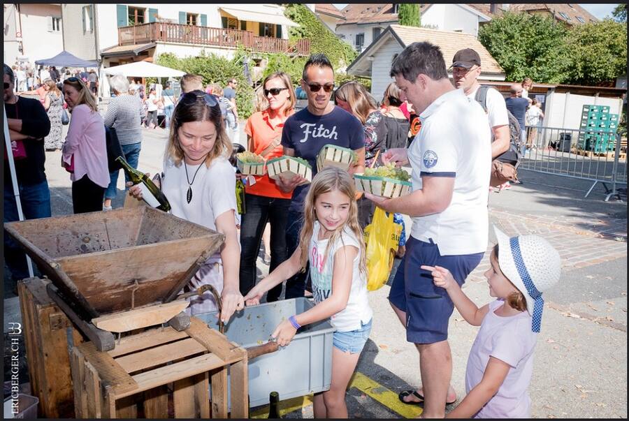 Fête du raisin Féchy