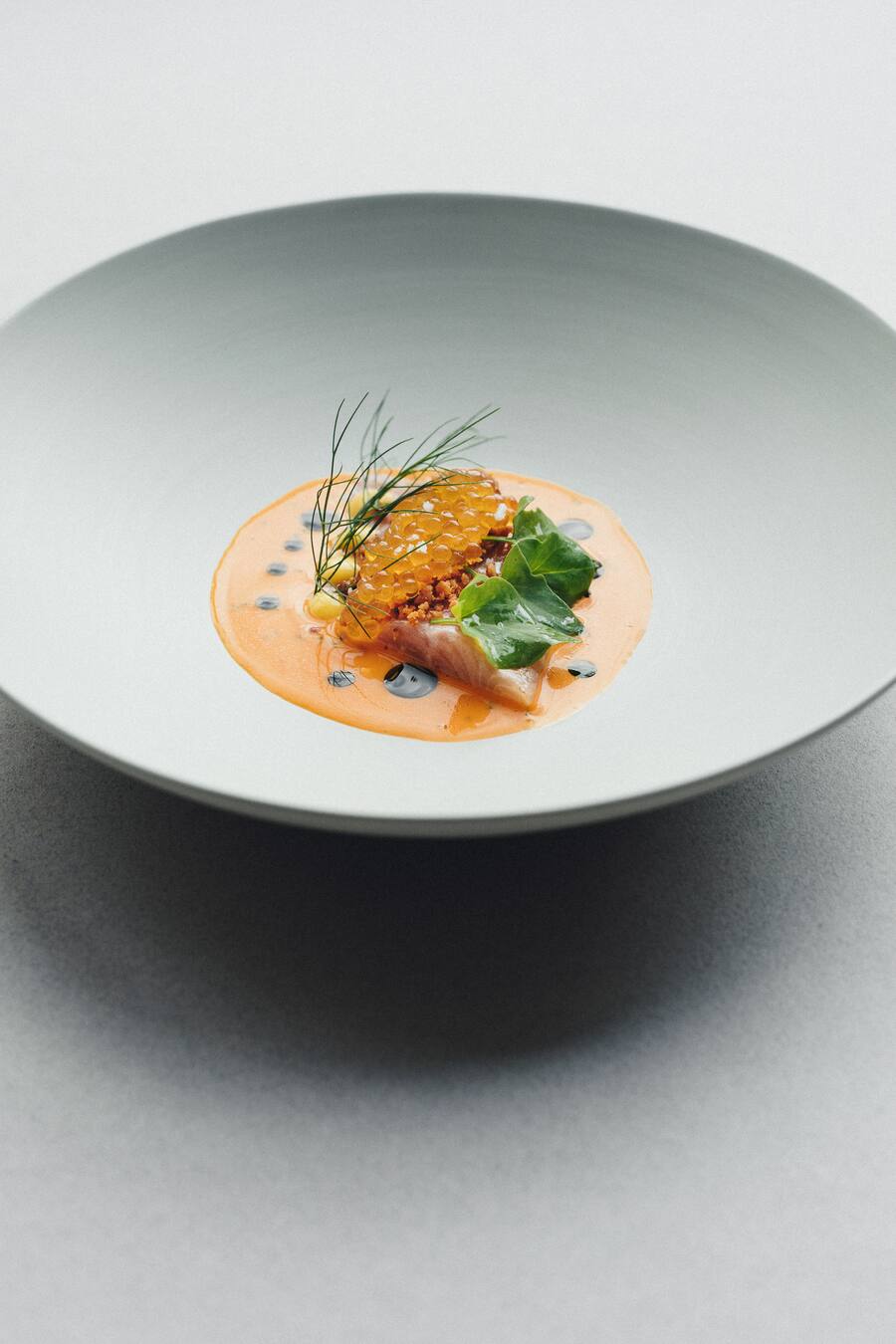 Hotel Vals 7132, Restaurant Silver, Chefkoch Mitja Birlo,Saibling Val Lumnezia,fermentierte rote Peperoni,Korianderöl, XO Sauce als Crumble,Foto: Digitale Massarbeit, Tanja und Simon Kurt