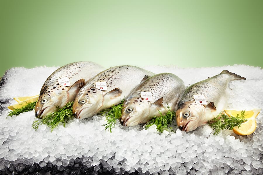 Frischer Lachs