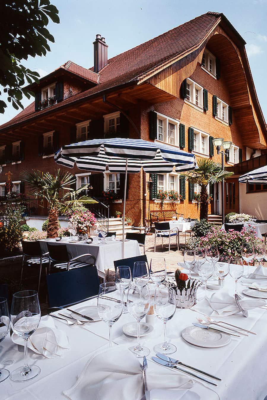 Garten Kronen Blatten