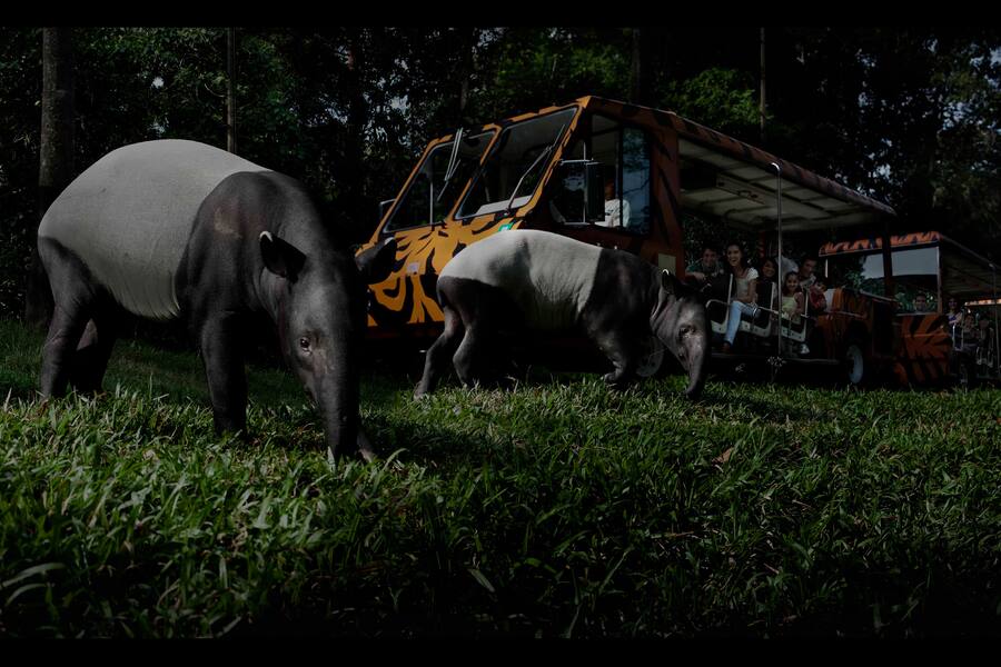 Mandarin Oriental Singapur
