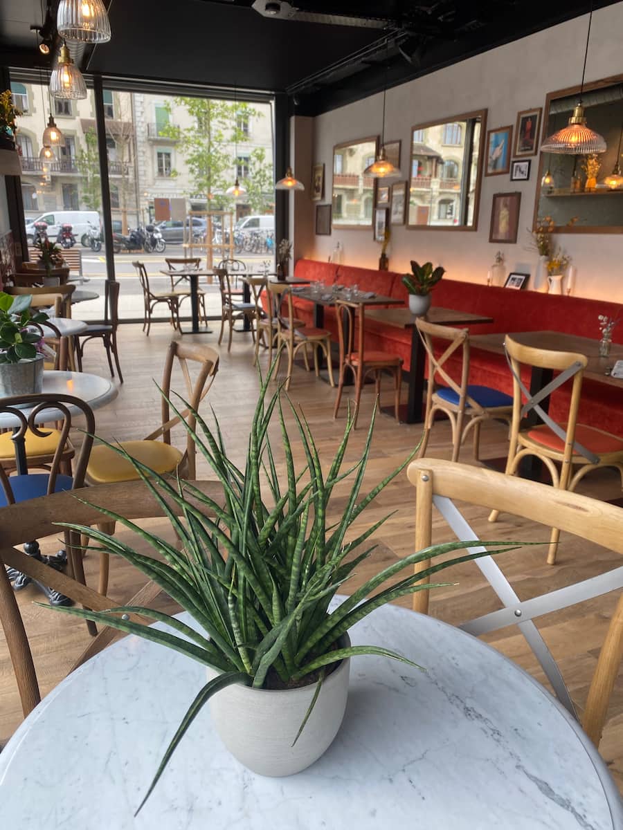 GIGI-CUCINA-BAR-EAUX-VIVES-RESTAURANT-GENEVE