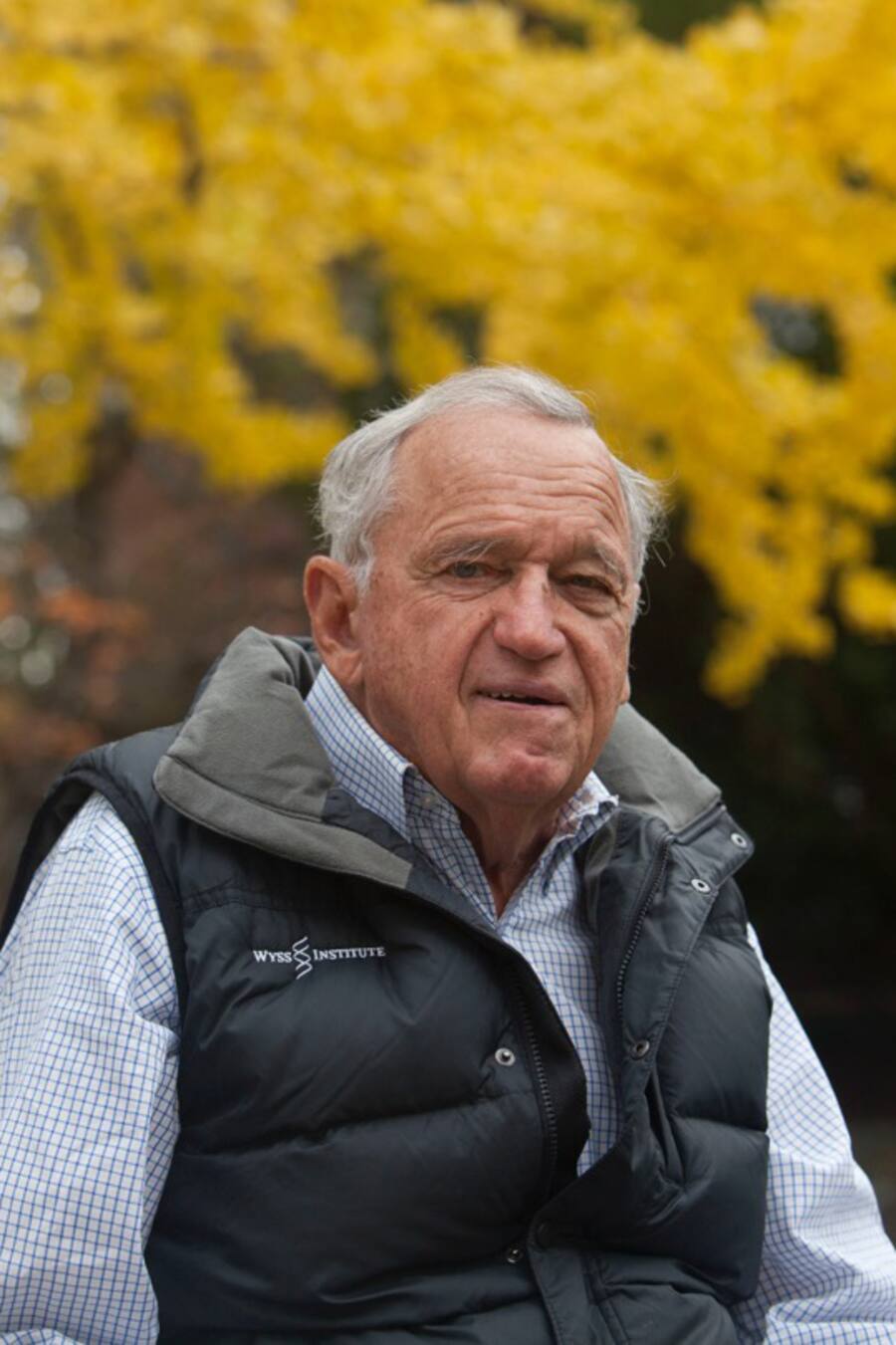 Glenturrent Lalique Restaurant