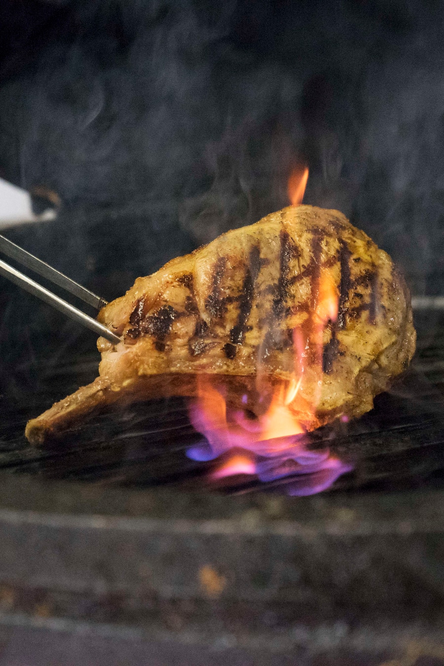 gm rg Freiburger Falle veau