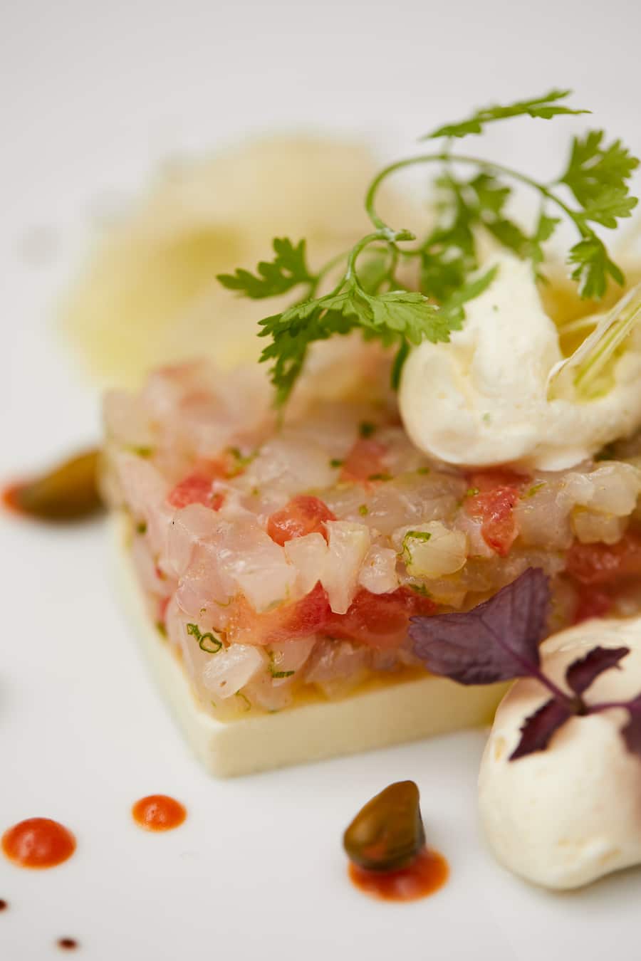 Tartar vom Meerwolf mit kaltgepresstem Olivenöl aus Ligurien, Fenchel und Pistazien an einer leichten Limettencreme Grand Casino Luzern 25.10.18 Foto Lucian Hunziker