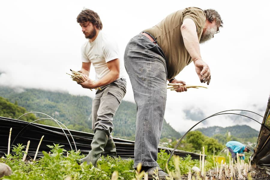 Johann-Baptista von Tscharner (Sohn) und Gian-Battista von Tscharner auf dem Feld