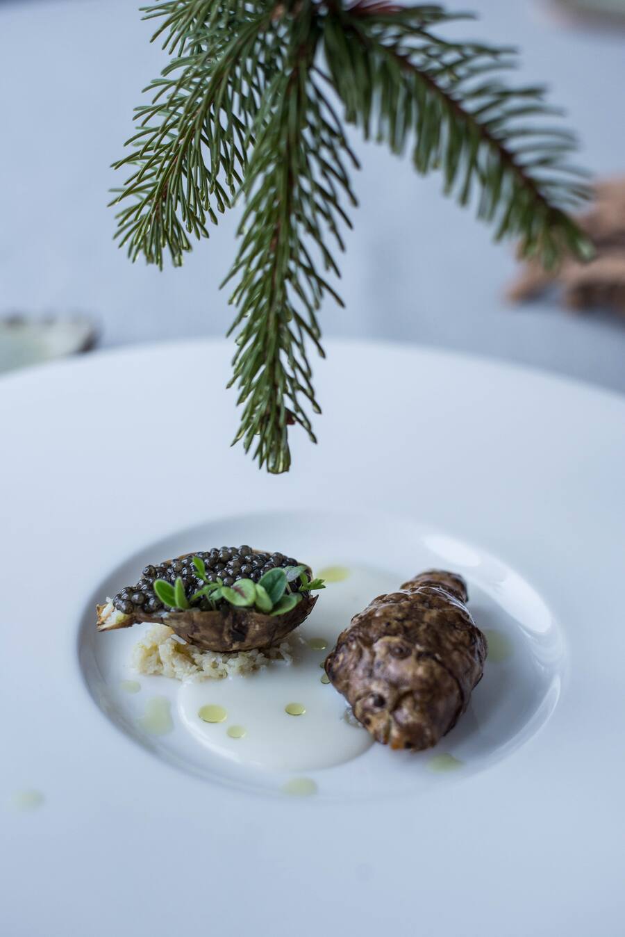 Krabben mit Topinambur, Kiefernnadel und Kaviar, Jeroen Achtien, Waldhotel Davos, Sens 1605