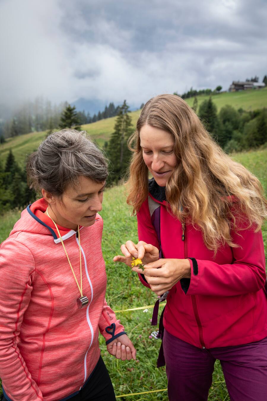 Gault Millau Channel, Kräuterweg Gstaad